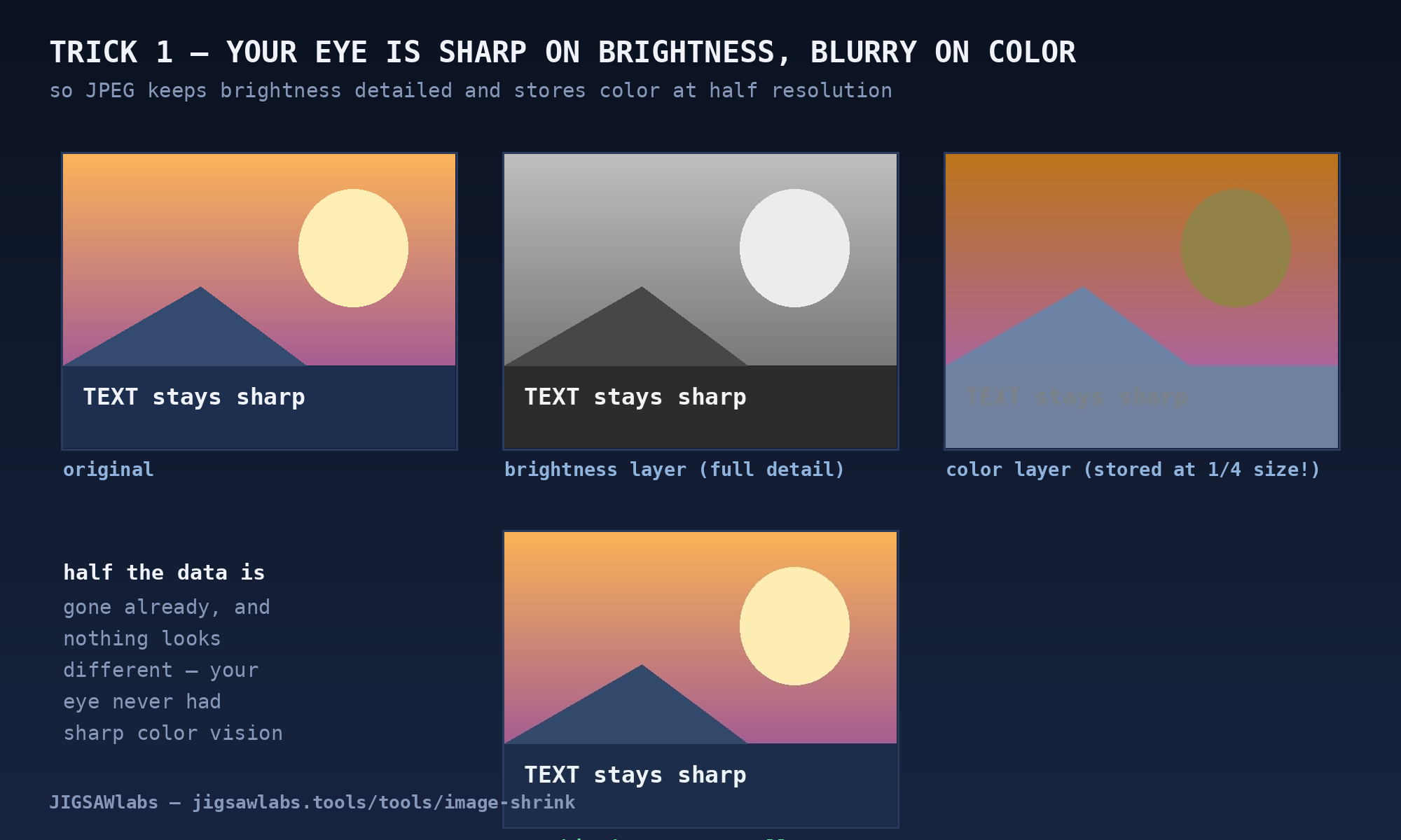 The original scene split into a full-detail brightness layer and a quarter-size color layer, then recombined — indistinguishable from the original